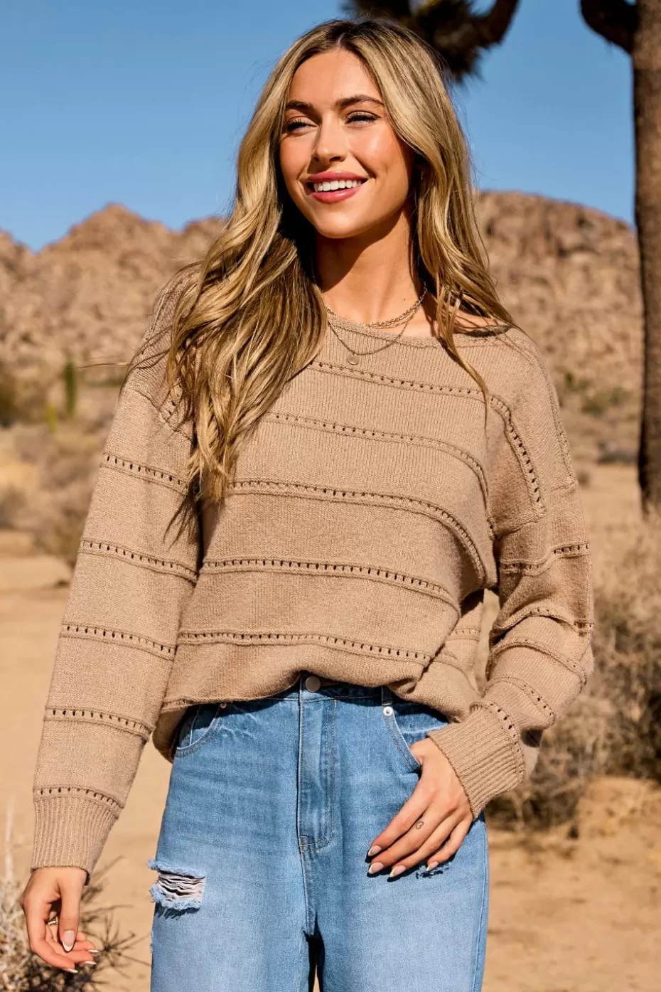 Online Cupshe Boatneck Long Sleeve Sweater Top Brown