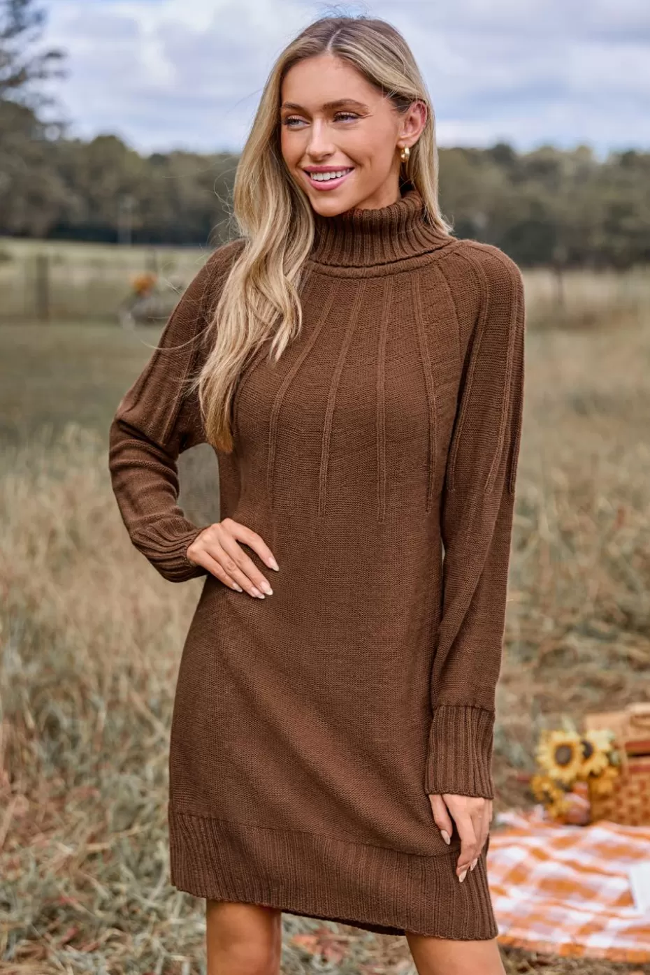 Store Cupshe Turtleneck Long Sleeve Mini Sweater Dress Brown