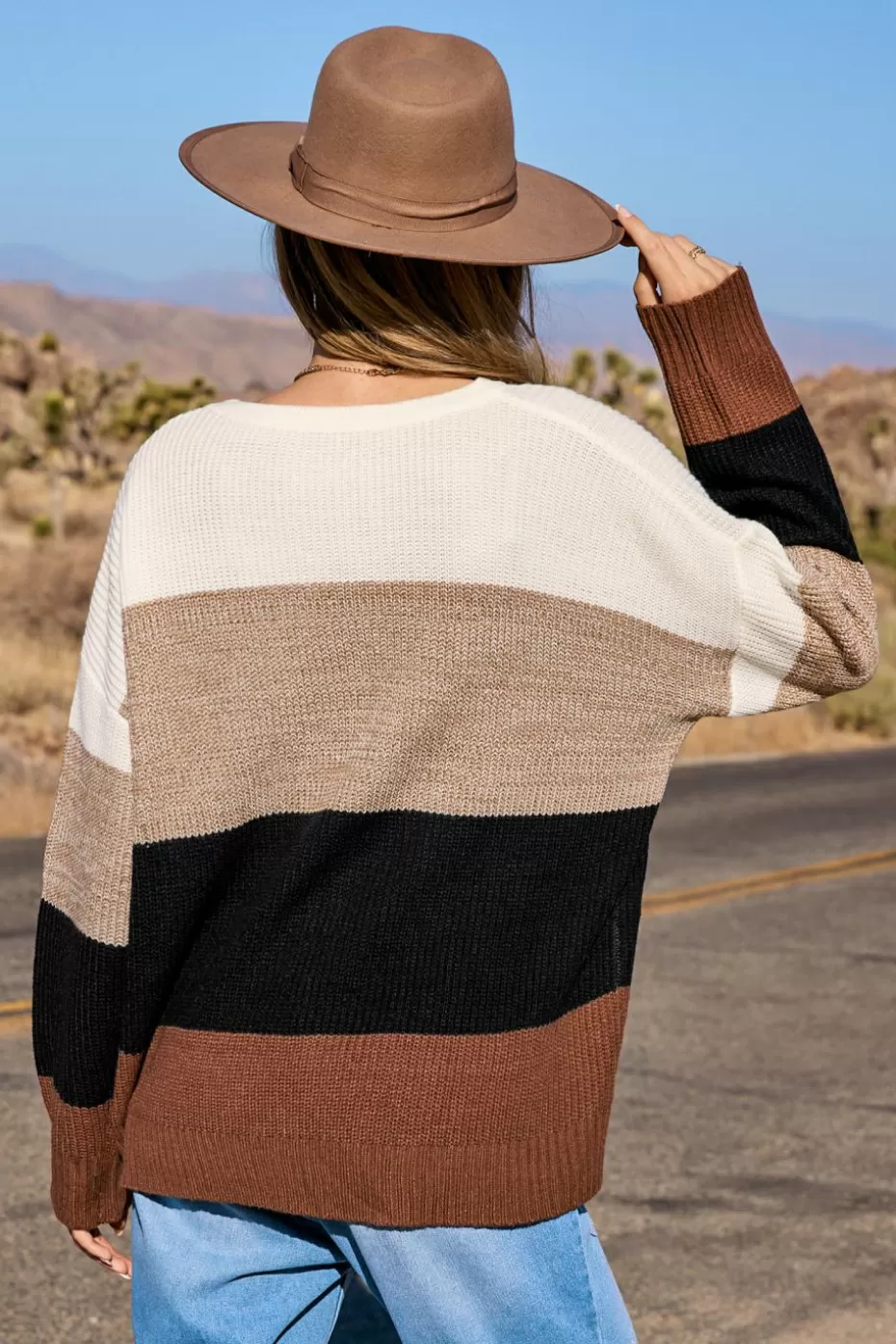 Hot Cupshe Colorblock Long Sleeve Sweater Brown